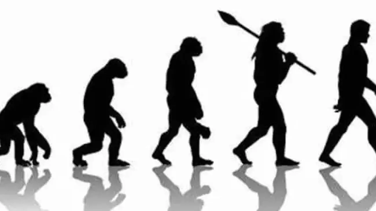 انسان‌ های اولیه، راه رفتن روی دو پا را نه روی زمین، بلکه روی درخت یاد گرفتند