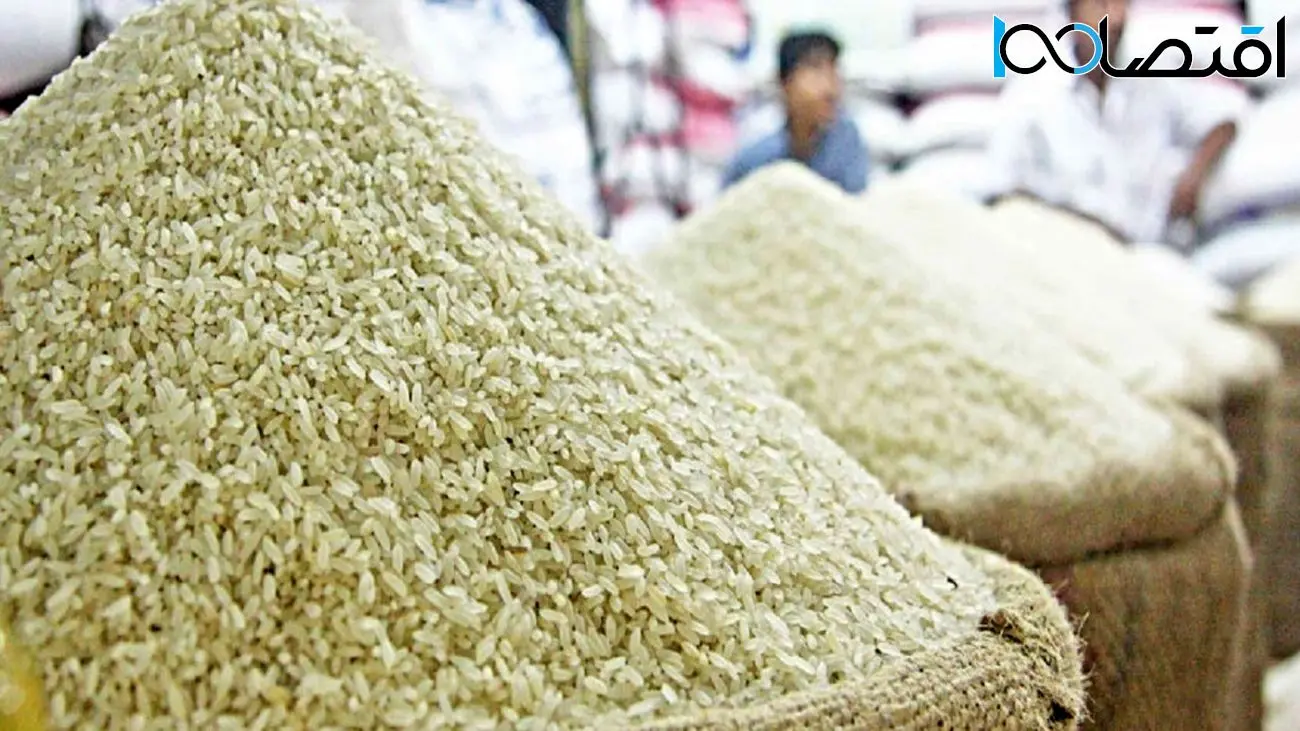 قیمت برنج ایرانی و خارجی گران شد / شوک دولت از افزایش قیمت برنج