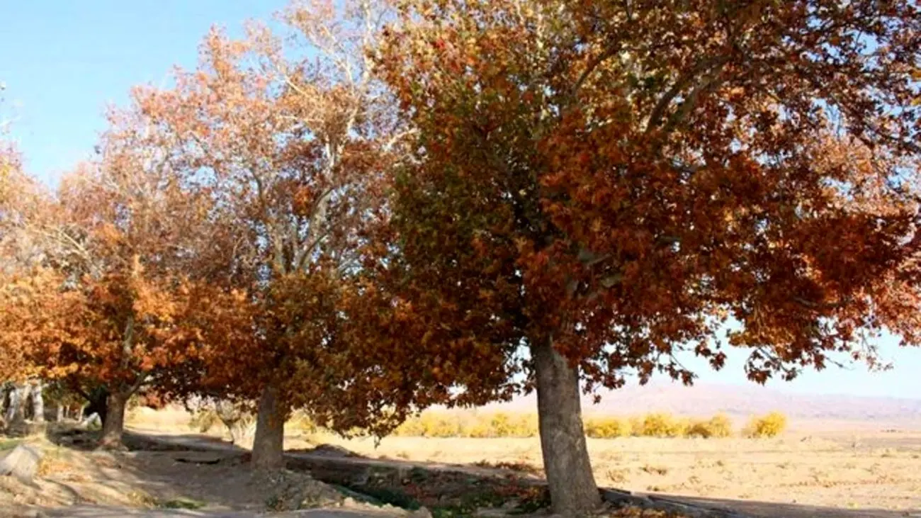 سپری شدن سومین پاییز خشک ایران