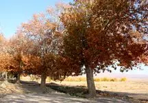 سپری شدن سومین پاییز خشک ایران