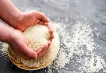 جدیدترین قیمت برنج در فروردین ۱۴۰۴ اعلام شد