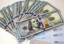 اطلاعات خریداران ارز باید در اختیار دولت باشد
