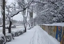 به زودی بارش برف سنگین در تهران / شهرداری آماده هموار کردن تردد شهری باشد 