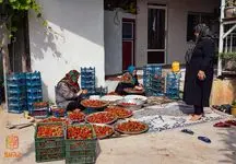 خوش خبری برای مشاغل خانگی/ رشد 50 تا 100درصدی تسهیلات