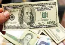 قیمت دلار امروز دوشنبه ۲۰ فروردین ۱۴۰۳ / یورو و ارزهای دیگر چند؟