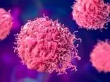«ناوهای هواپیمابر» سلولی که سرطان را از بین می‌برند!