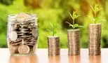 پس انداز در ایران/ چگونه ایرانیان پول خود را مدیریت می‌کنند؟