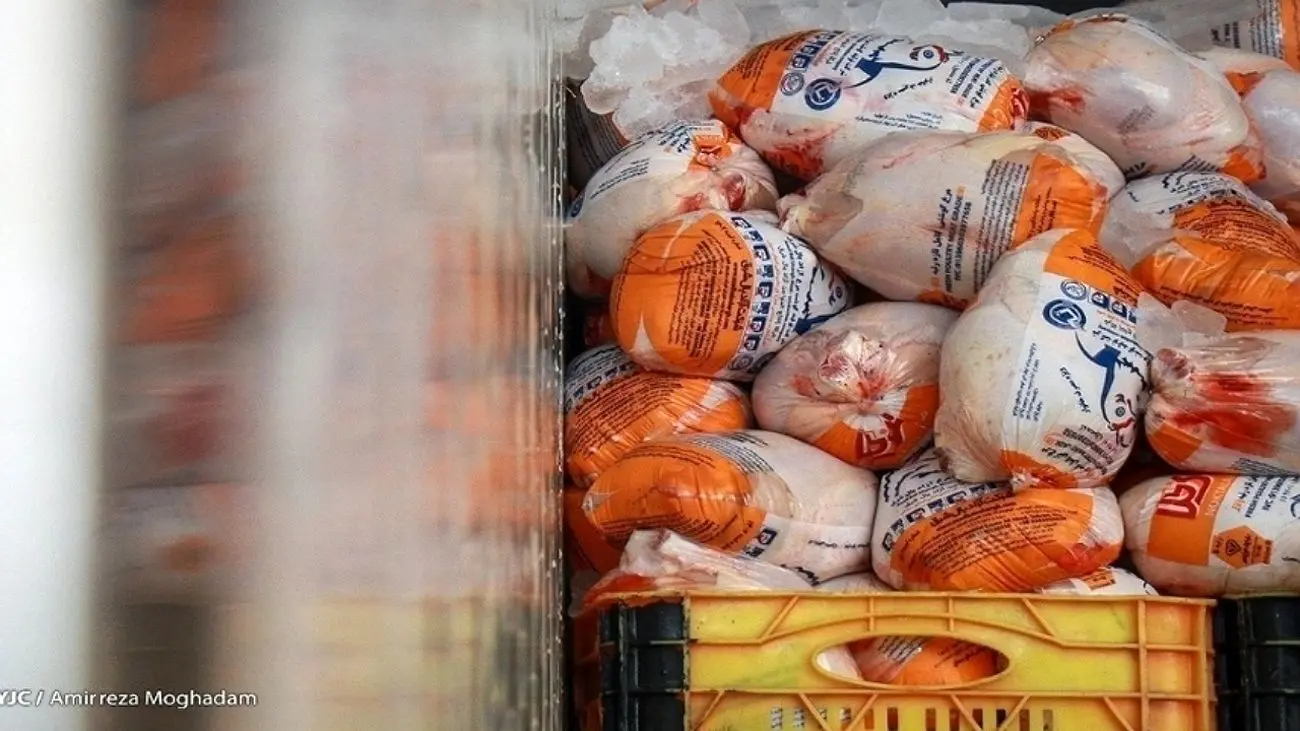توزیع روزانه ۶ هزارتن مرغ در سطح کشور
