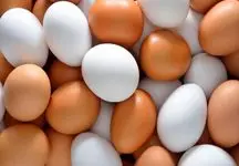 هشدار / تخم‌مرغ بی‌شناسنامه نخرید!