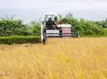 دست دولت در جیب کشاورزان 