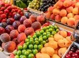 افزایش ۲۴ درصدی صادرات محصولات کشاورزی و غذایی 