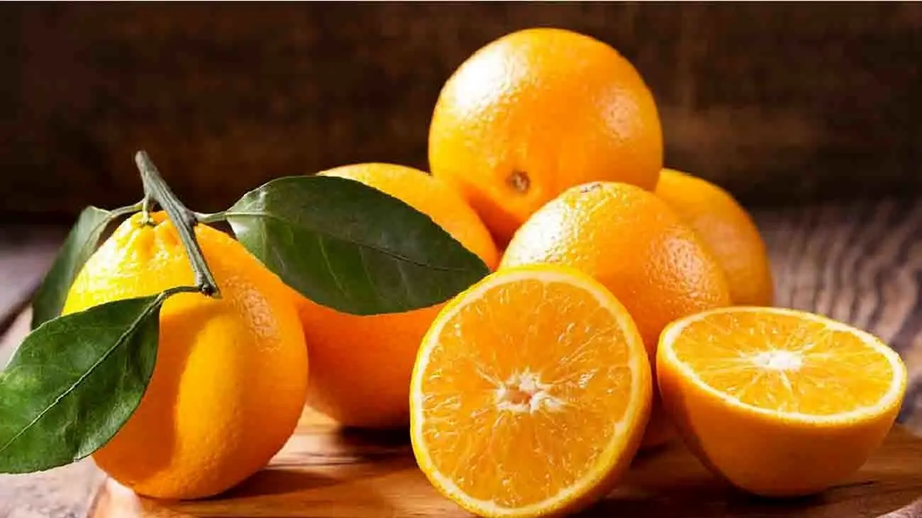 این میوه در بازار تره بار جنجال به پا کرد ! / قیمت پرتقال از چقدر به چقدر رسید ؟!