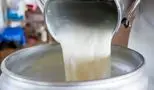 قیمت رسمی شیر اعلام شد