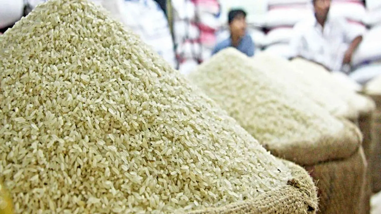 برنج ارزان تر می شود؟ 