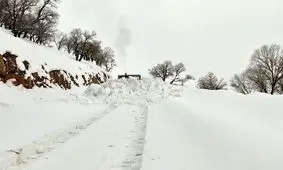 فیلم رکورد بارش برف در کوهرنگ  / راه ارتباطی 733 روستا مسدود است/ راهداری بی وقفه در تلاش برای بازگشایی مسیرها