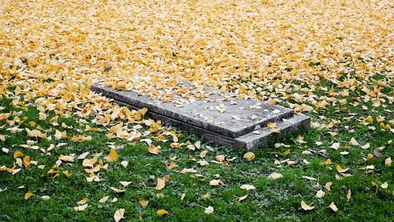 عجیب ترین سنگ قبر یک هنرمند در تهران+عکس