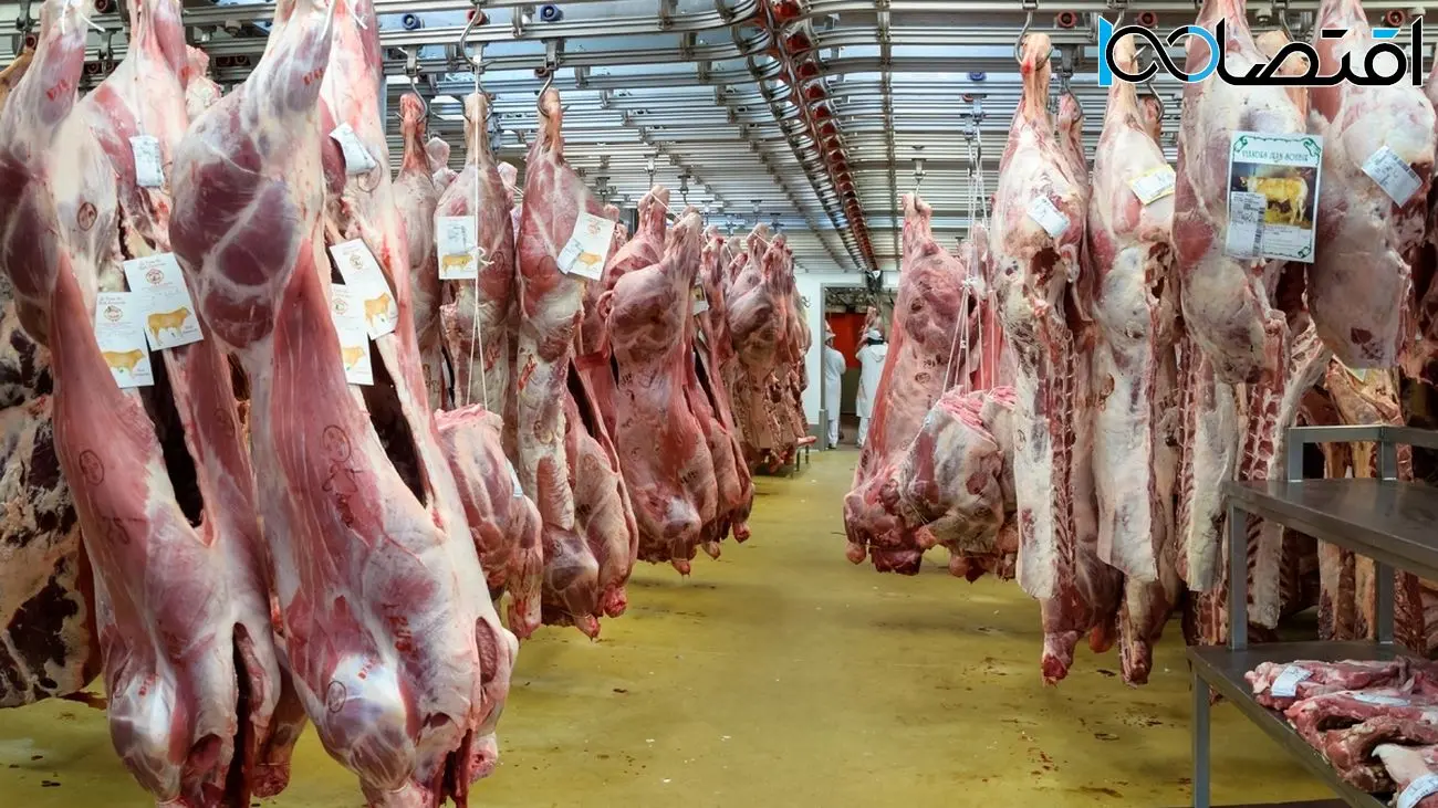 جدیدترین قیمت گوشت قرمز در بازار /  قیمت هرکیلو شقه گوسفندی  چند شد؟