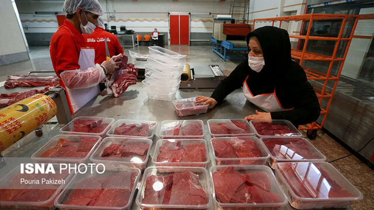 هدیه دولت به ملت!/ احتمال رسیدن گوشت منجمد وارداتی به زیر ۳۰۰ هزار تومان