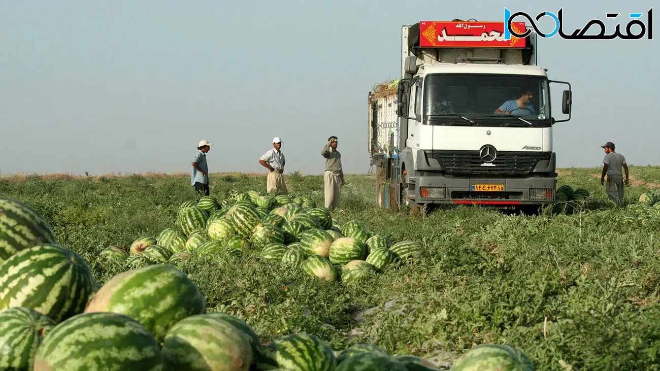 آمار جالب صادرات ارزان ترین محصول کشاورزی ایران