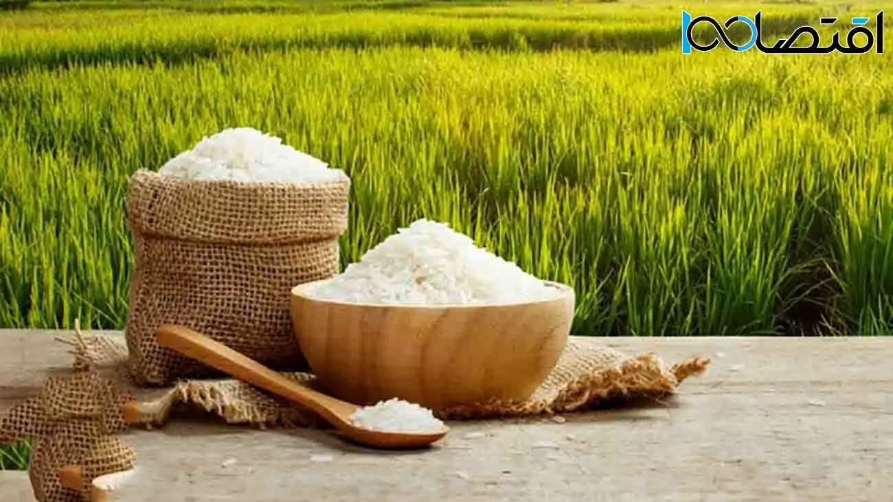 جدول جدیدترین قیمت برنج هندی در بازار 