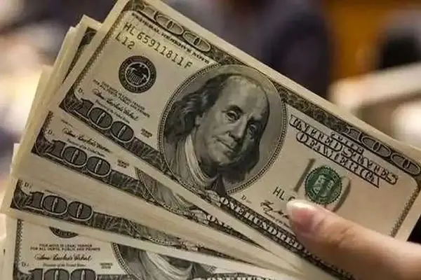 قیمت دلار امروز دوشنبه ۳۱ اردیبهشت ۱۴۰۳ / دلار کشید بالا !