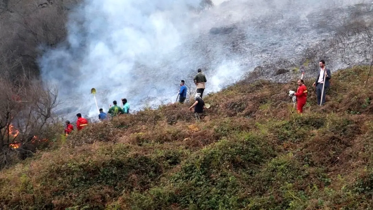 شکارچیان متهم آتش سوزی در جنگل‌های نکا