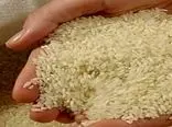 بازار کساد برنج ایرانی/ مردم توان خرید برنج ایرانی را ندارند