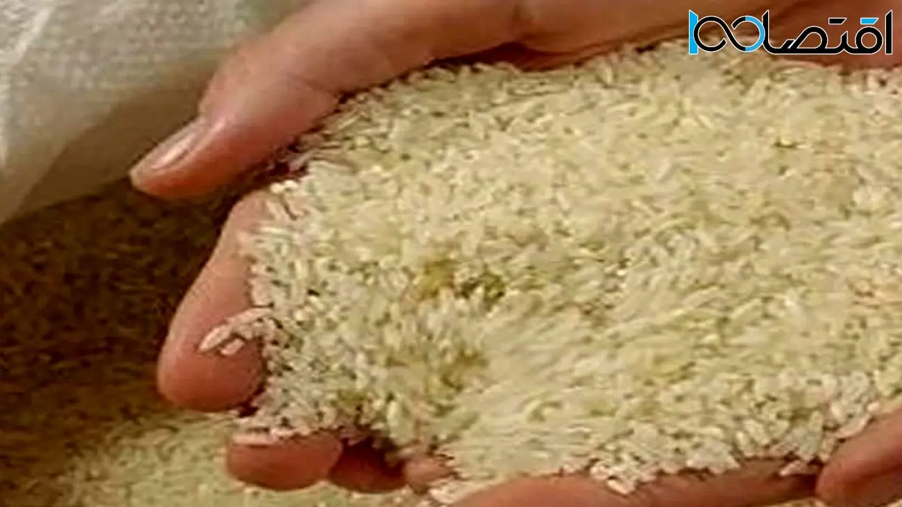 بازار کساد برنج ایرانی/ مردم توان خرید برنج ایرانی را ندارند