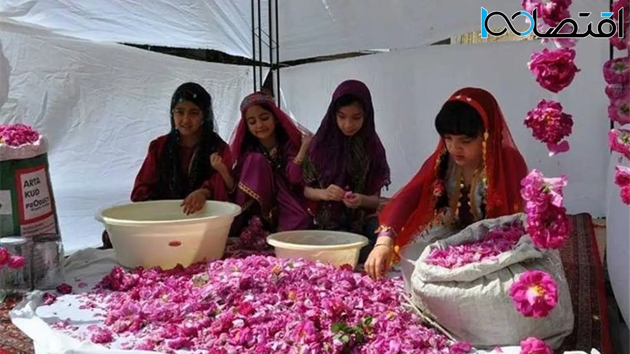 جشنواره گل و گلاب در تهران 