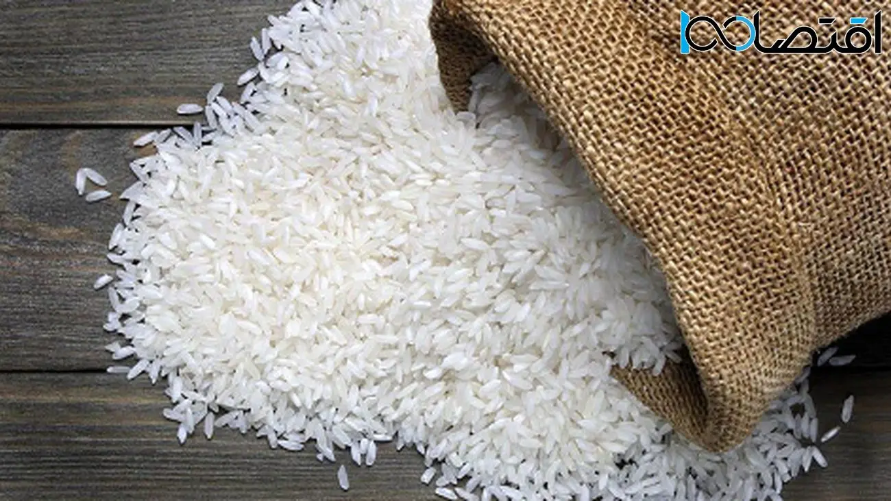 برنج گرانتر از همیشه؛ بررسی دلایل افزایش قیمت در بازار ایران