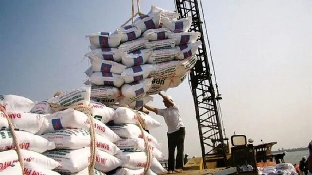 لغو ممنوعیت واردات برنج به کشور / ثبت‌سفارش 100 هزار تن برنج فقط در 24 ساعت !
