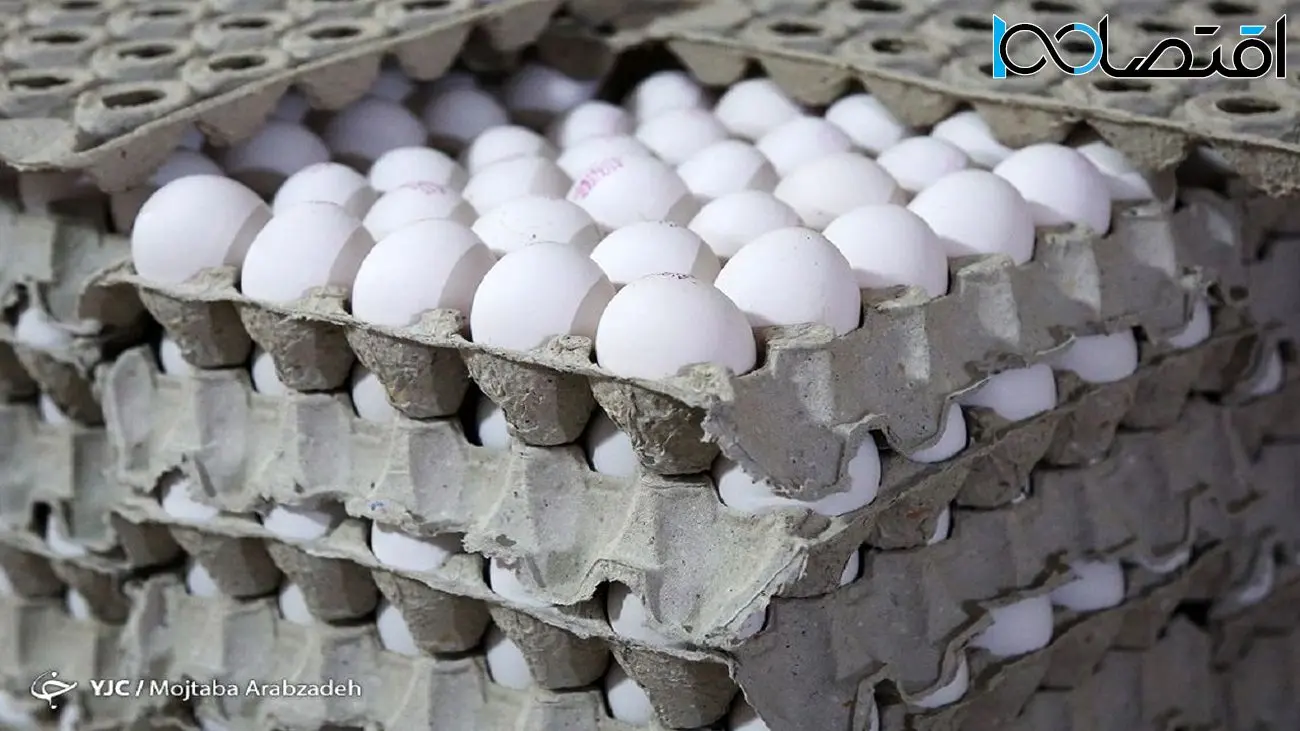 تخم مرغ ارزان شده، ارزان می ماند؟