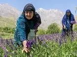 گردشگری ازنا جان می‌گیرد