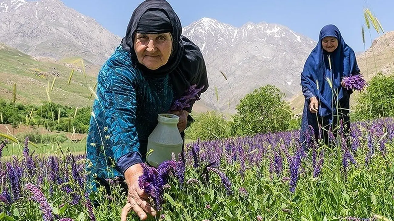 گردشگری ازنا جان می‌گیرد