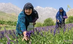 گردشگری ازنا جان می‌گیرد