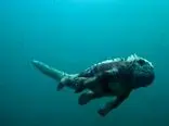 ویدئویی از جاسوسی یک ایگوانای رباتیک زیر آب