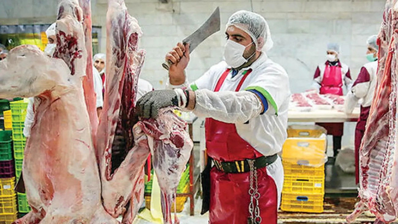 آخرین قیمت گوشت در بازار / وعده ارزانی به کجا رسید ؟!
