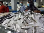 جدیدترین قیمت ماهی در بازار / ماهی شب عید را چند بخریم ؟!