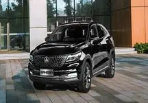 خریداران این خودرو به خاک سیاه نشستند 