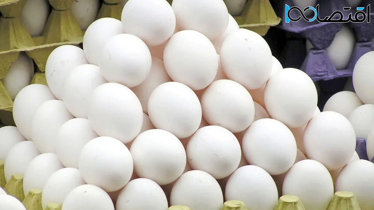 صف خرید تخم مرغ در میادین میوه و تره بار/تخم مرغ نایاب شد؟!