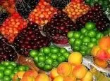 قیمت انواع میوه در بازار / تابستانی را ارزان بخرید 