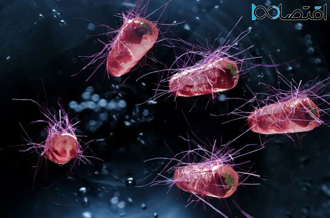 محققان نوعی باکتری روده را برای شناسایی و نابودسازی سرطان مهندسی کردند