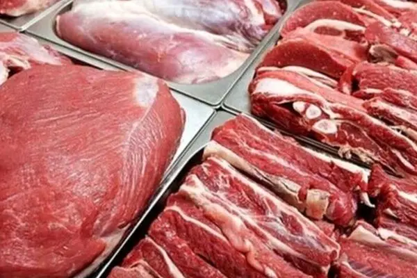 گوشت گاو و گوساله گران تر می شود / هشدار اولیه صادر شد