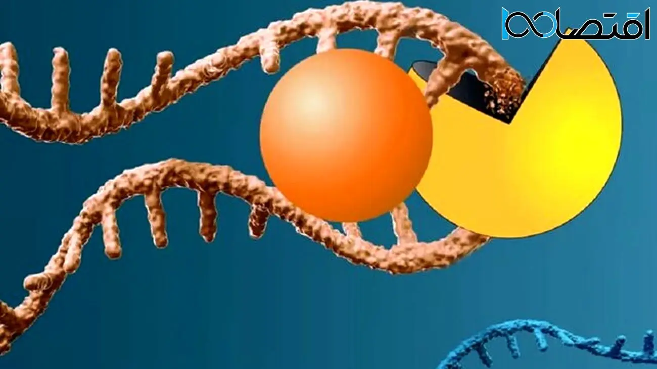 مولکولی که ژن رایج سرطان‌زا را می‌جود