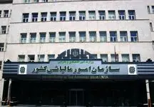 12 میلیون کد اقتصادی جدید صادر شد/ فعالان اقتصادی چگونه کد اقتصادی را پیگیری کنند؟