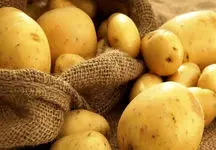 سیب‌ زمینی به سبد خرید کارگران باز می گردد