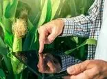 معرفی ۱۵ فناوری نوین کشاورزی توسط محققان ایرانی 