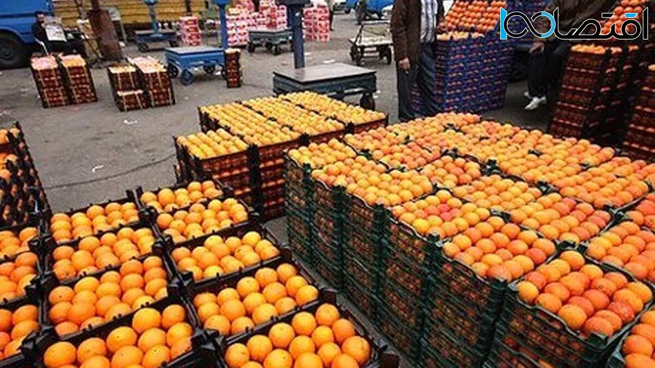 گزارش تعزیرات حکومتی از بازار میوه شب عید
