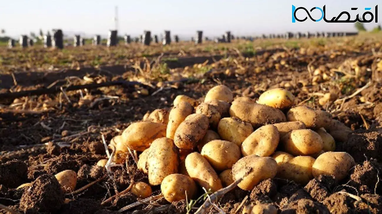 همکاری پاکستان و ترکیه برای کمک به ایران!