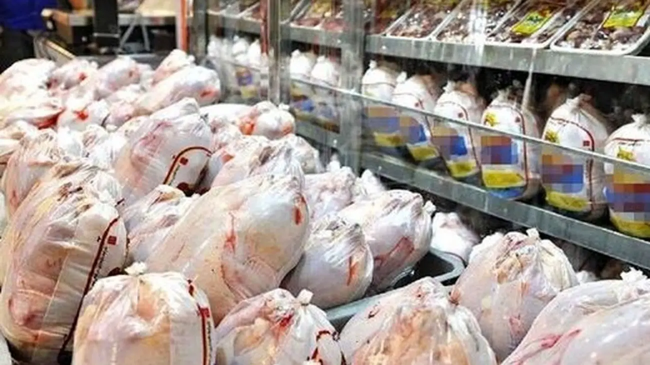 قیمت عمده مرغ در میدان میوه و تره بار تهران ! 